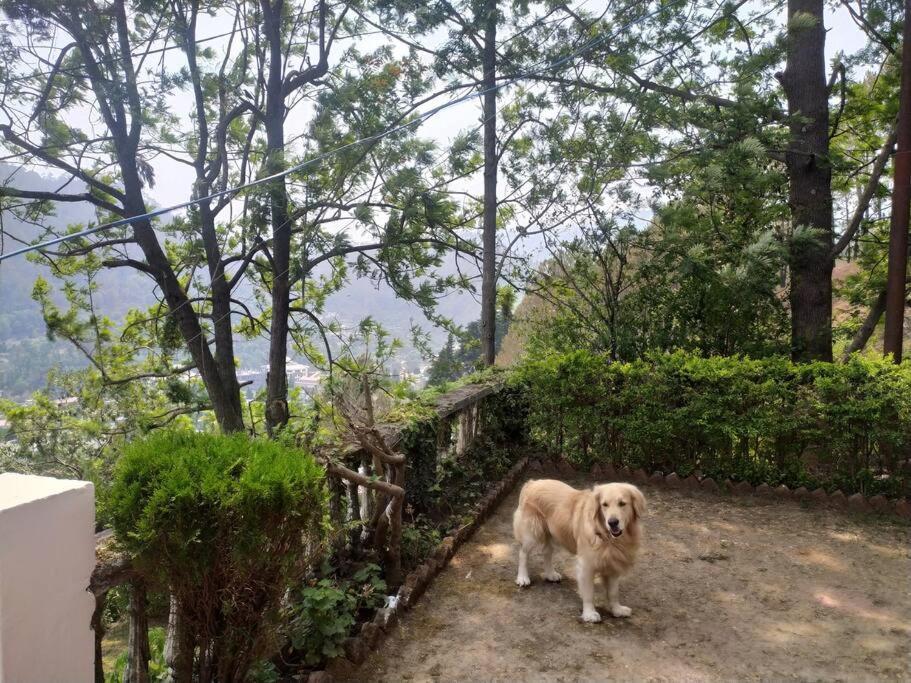 Whistling Thrush Cottage, Bhimtal 奈尼塔尔 外观 照片