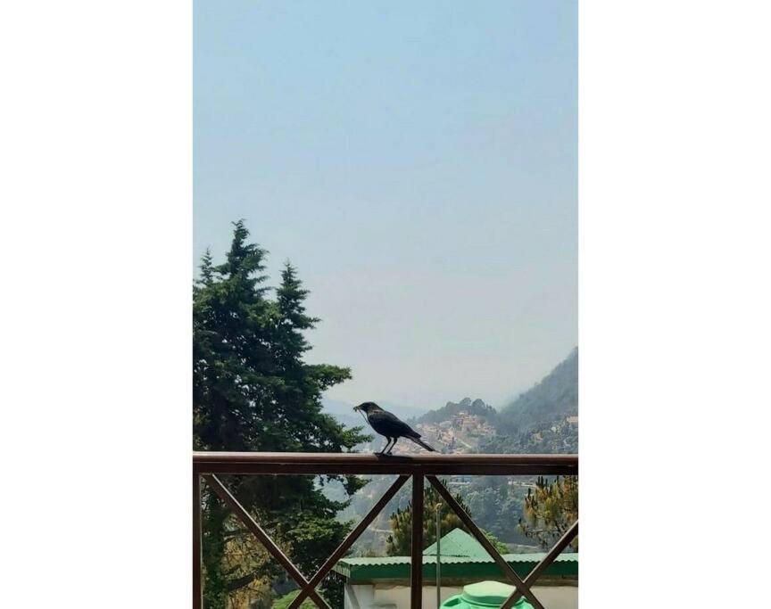 Whistling Thrush Cottage, Bhimtal 奈尼塔尔 外观 照片