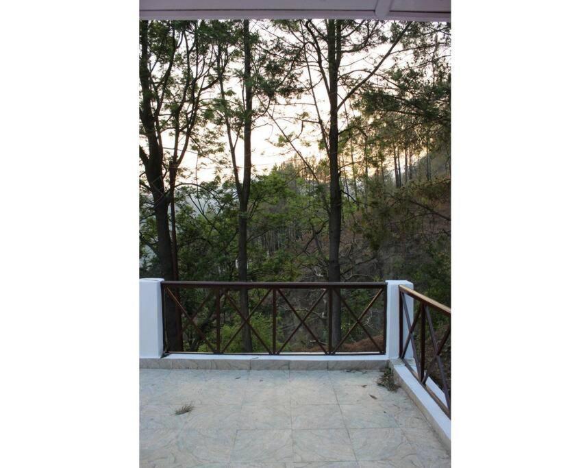 Whistling Thrush Cottage, Bhimtal 奈尼塔尔 外观 照片